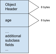 Memory layout of the Animal class when compiled to native code.