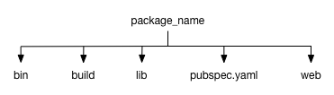 Pub's directory structure including bin, lib, build directories, and pubspec